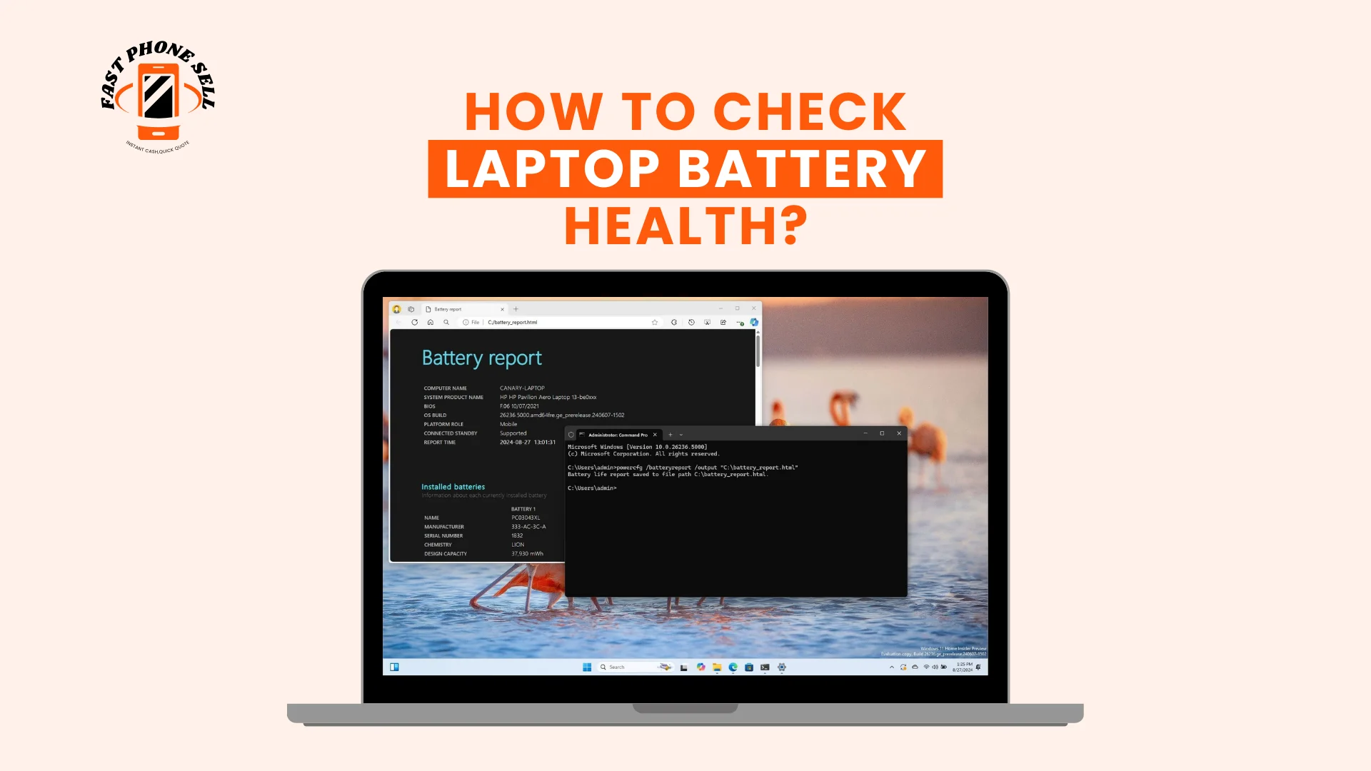 how to check laptop battery health